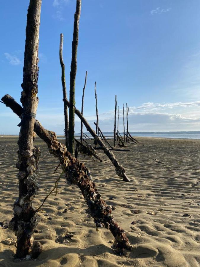 Appartement Cosy Village De L'Herbe Lege-Cap-Ferret Bagian luar foto